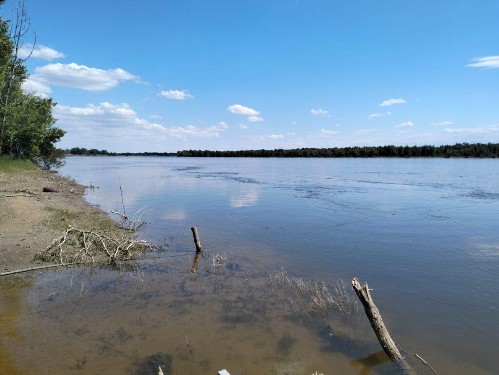 половодье-1-1-1024x770.jpeg