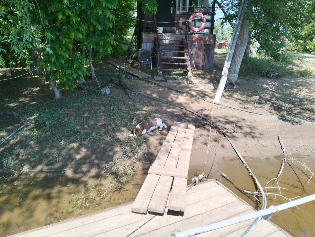 Половодье-4-1024x770.jpeg